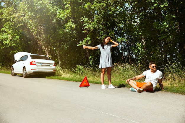 Couple stranded beside a broken-down car with a warning triangle on the roadside